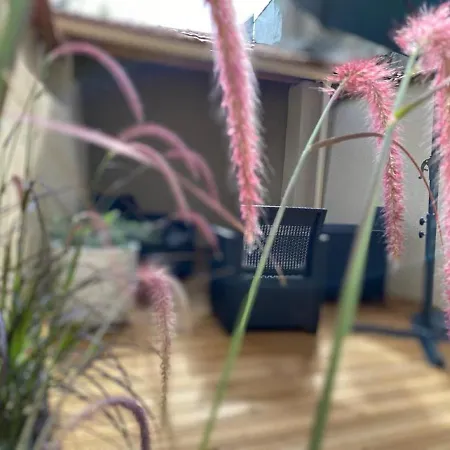 Hébergement de vacances La Perle Du Gier - Maison-climatisee-terrasse